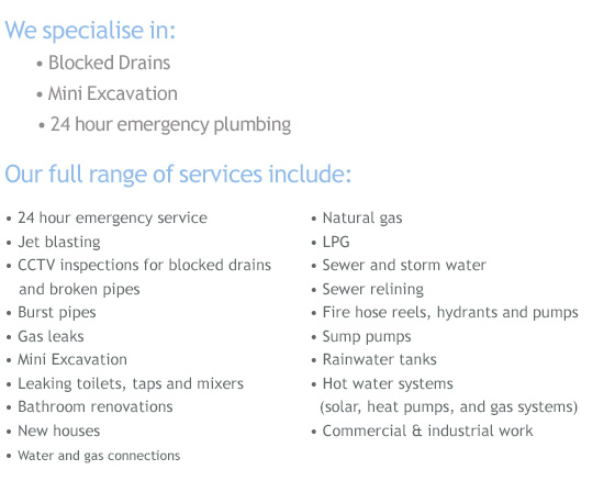 Plumbing services